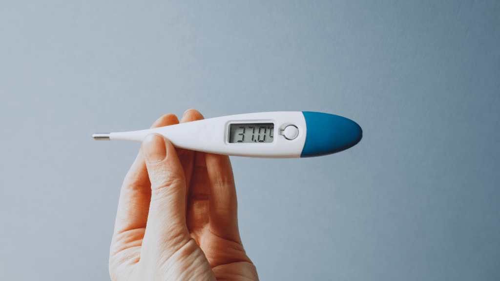 Mastering Cooking Temperatures