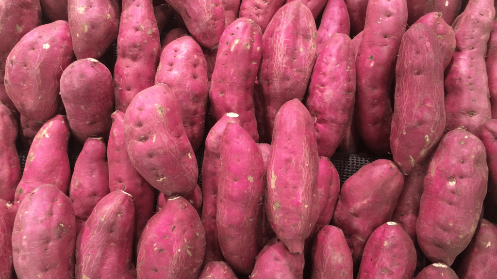 a close up of a pile of purple sweet potatoes