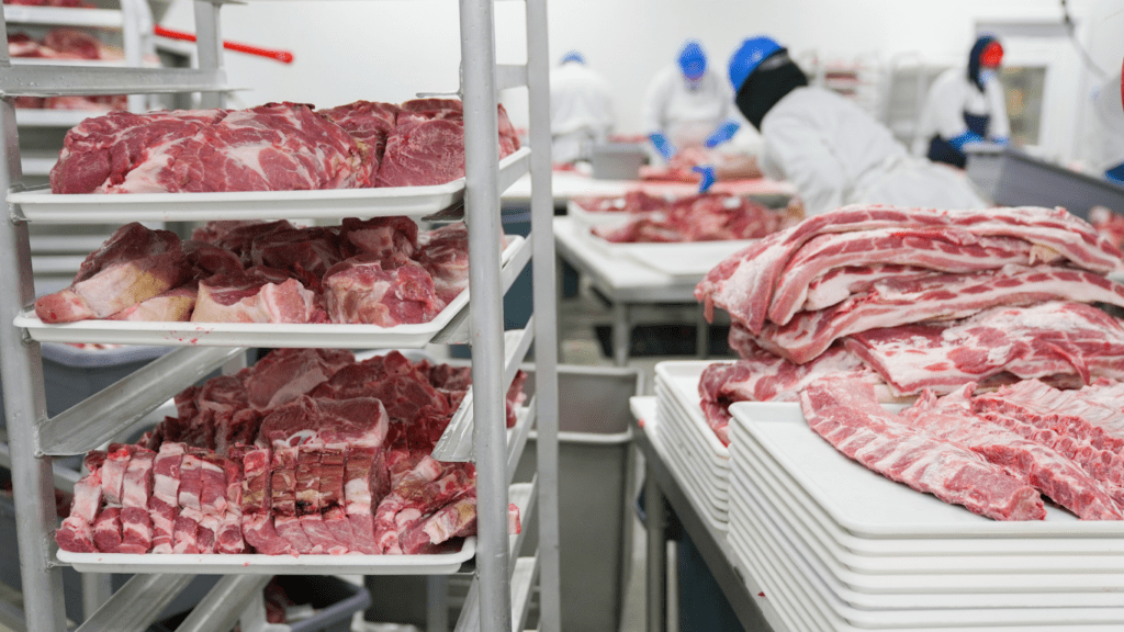 a group of people working in a meat processing plant