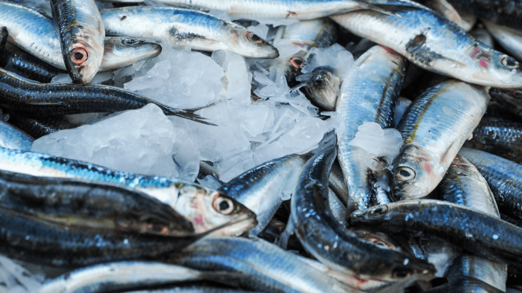 a seafood market