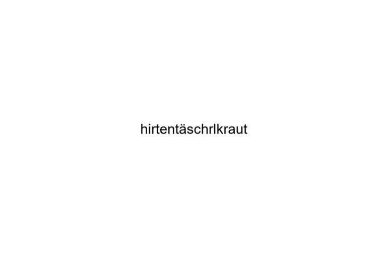 hirtentschrlkraut