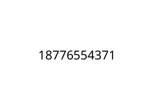 18776554371