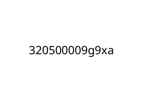 320500009g9xa