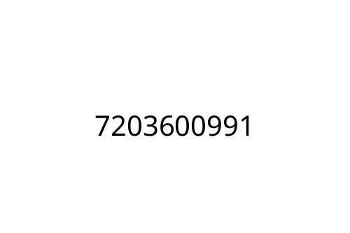 7203600991