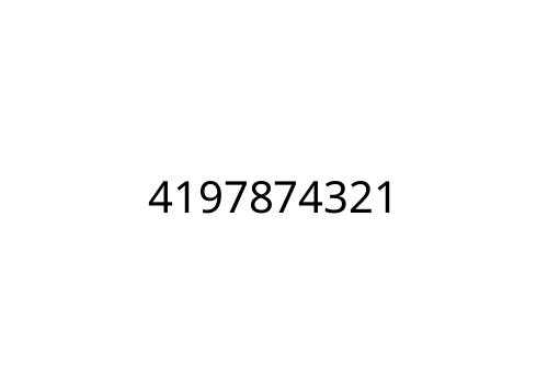 4197874321