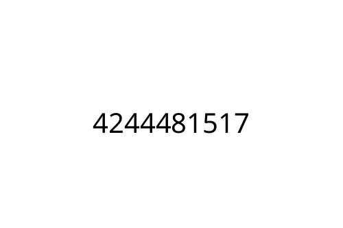 4244481517