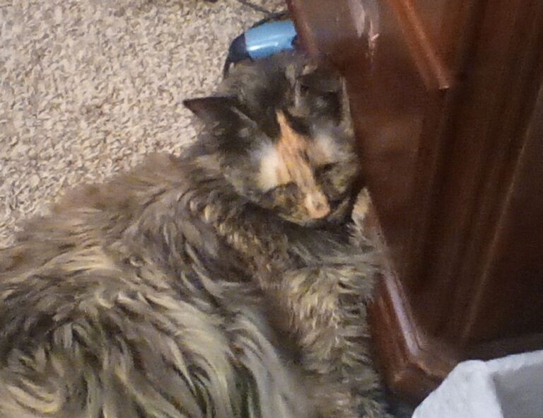 assinantecanceladofault