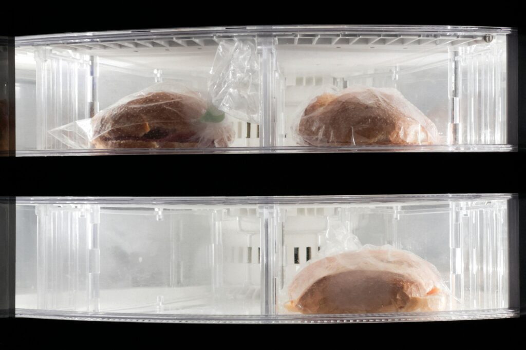Clear view of two frozen sandwiches wrapped in plastic inside a refrigerator.
