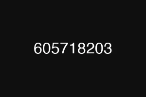 605718203