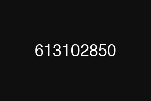 613102850