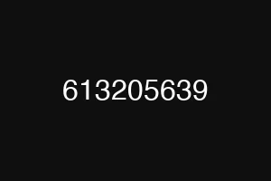 613205639