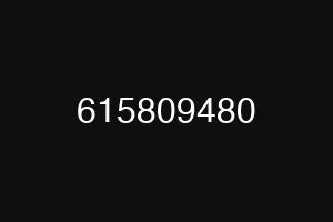 615809480