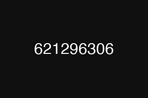 621296306