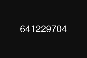 641229704