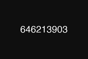 646213903