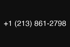 +1 (213) 861-2798