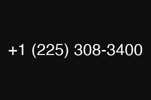 +1 (225) 308-3400