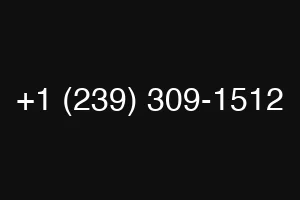 +1 (239) 309-1512