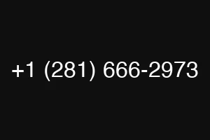 +1 (281) 666-2973