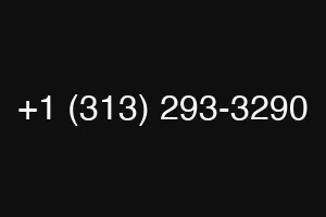+1 (313) 293-3290