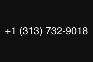 +1 (313) 732-9018
