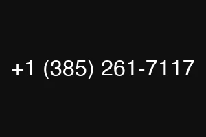 +1 (385) 261-7117