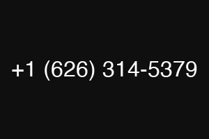 +1 (626) 314-5379