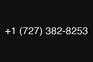+1 (727) 382-8253