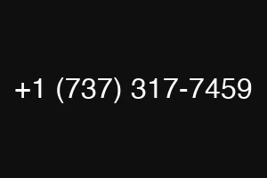 +1 (737) 317-7459