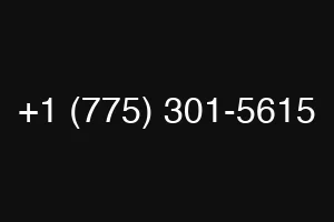 +1 (775) 301-5615