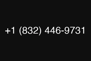 +1 (832) 446-9731