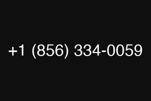 +1 (856) 334-0059
