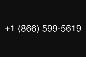 +1 (866) 599-5619
