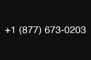 +1 (877) 673-0203