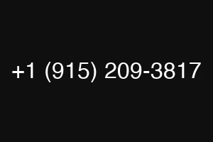 +1 (915) 209-3817
