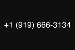 +1 (919) 666-3134
